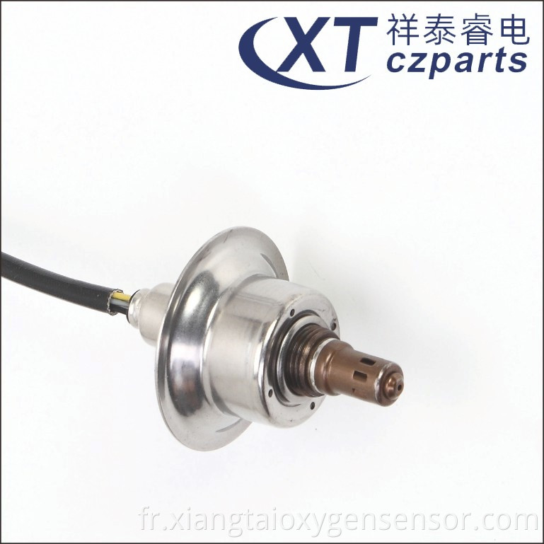 Oxygen Sensor